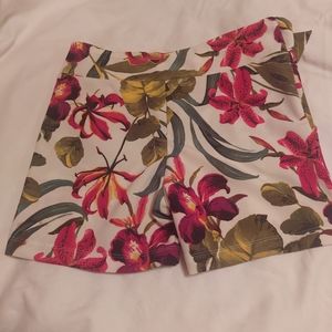 AWAKENING STRETCH VINTAGE WOMEN'S SHORT